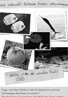 Vorschau Seite 4
