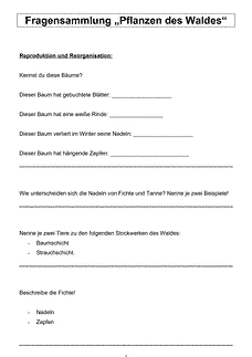 Vorschau Seite 1