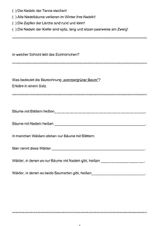 Vorschau Seite 4