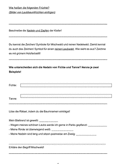 Vorschau Seite 5