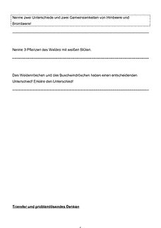 Vorschau Seite 6