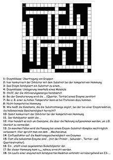 Vorschau Seite 1