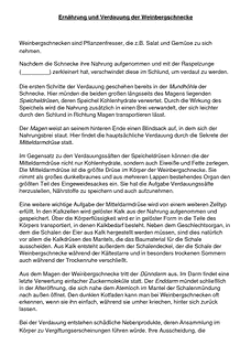 Vorschau Seite 1