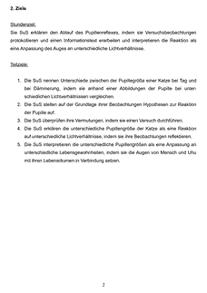 Vorschau Seite 2