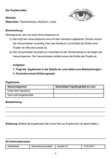 Vorschau Seite 8