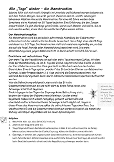 Vorschau Seite 2