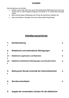 Vorschau Seite 2