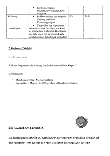 Vorschau Seite 8