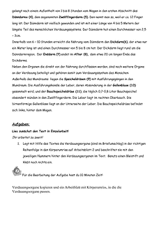 Vorschau Seite 10