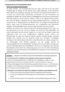 Vorschau Seite 10