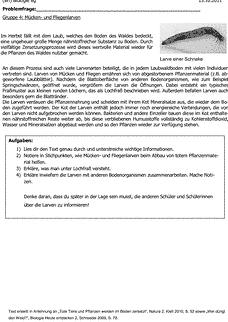 Vorschau Seite 11