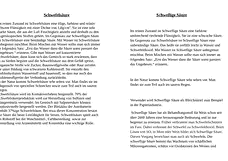 Vorschau Seite 1