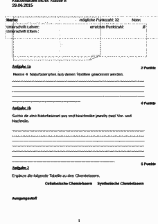 Vorschau Seite 1