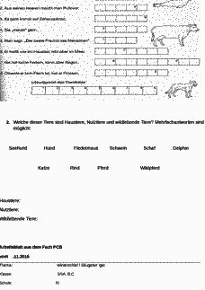 Vorschau