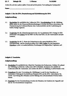 Vorschau Seite 1