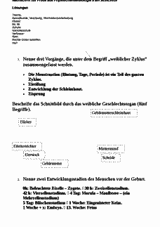 Vorschau Seite 1