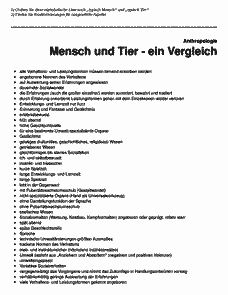 Vorschau Seite 1