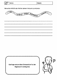 Vorschau Seite 16