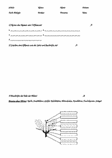 Vorschau Seite 1