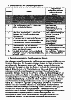 Vorschau Seite 4