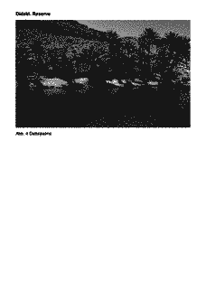 Vorschau Seite 16