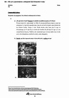 Vorschau Seite 8