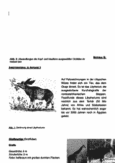 Vorschau Seite 4