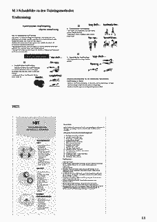 Vorschau Seite 13