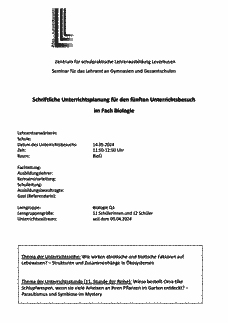Vorschau