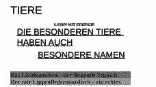 Vorschau