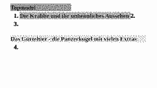 Vorschau