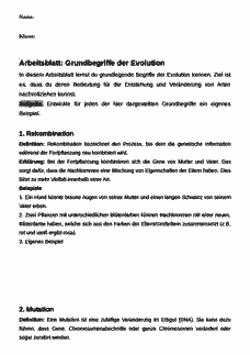 Vorschau