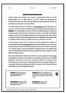 Vorschau