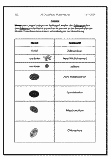 Vorschau