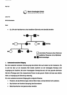 Vorschau