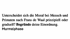 Vorschau