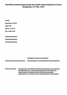Vorschau