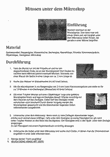 Vorschau