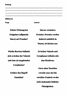 Vorschau