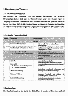 Vorschau