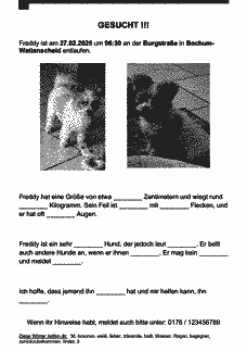 Vorschau