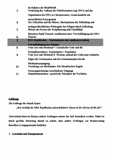 Vorschau