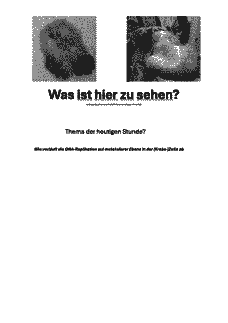 Vorschau