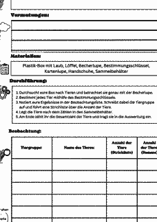 Vorschau