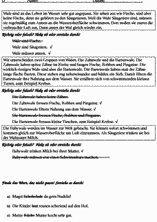 Vorschau Seite 1