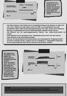 Vorschau Seite 2