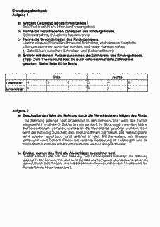 Vorschau Seite 1