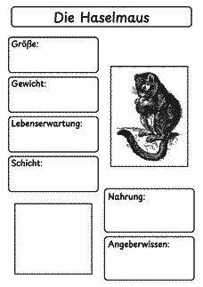 Vorschau