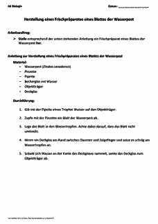 Vorschau