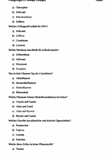 Vorschau
